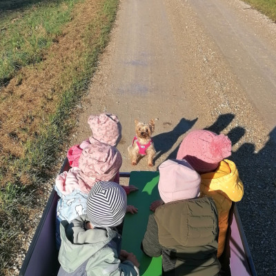 Die Sonnenstrahlen genießen